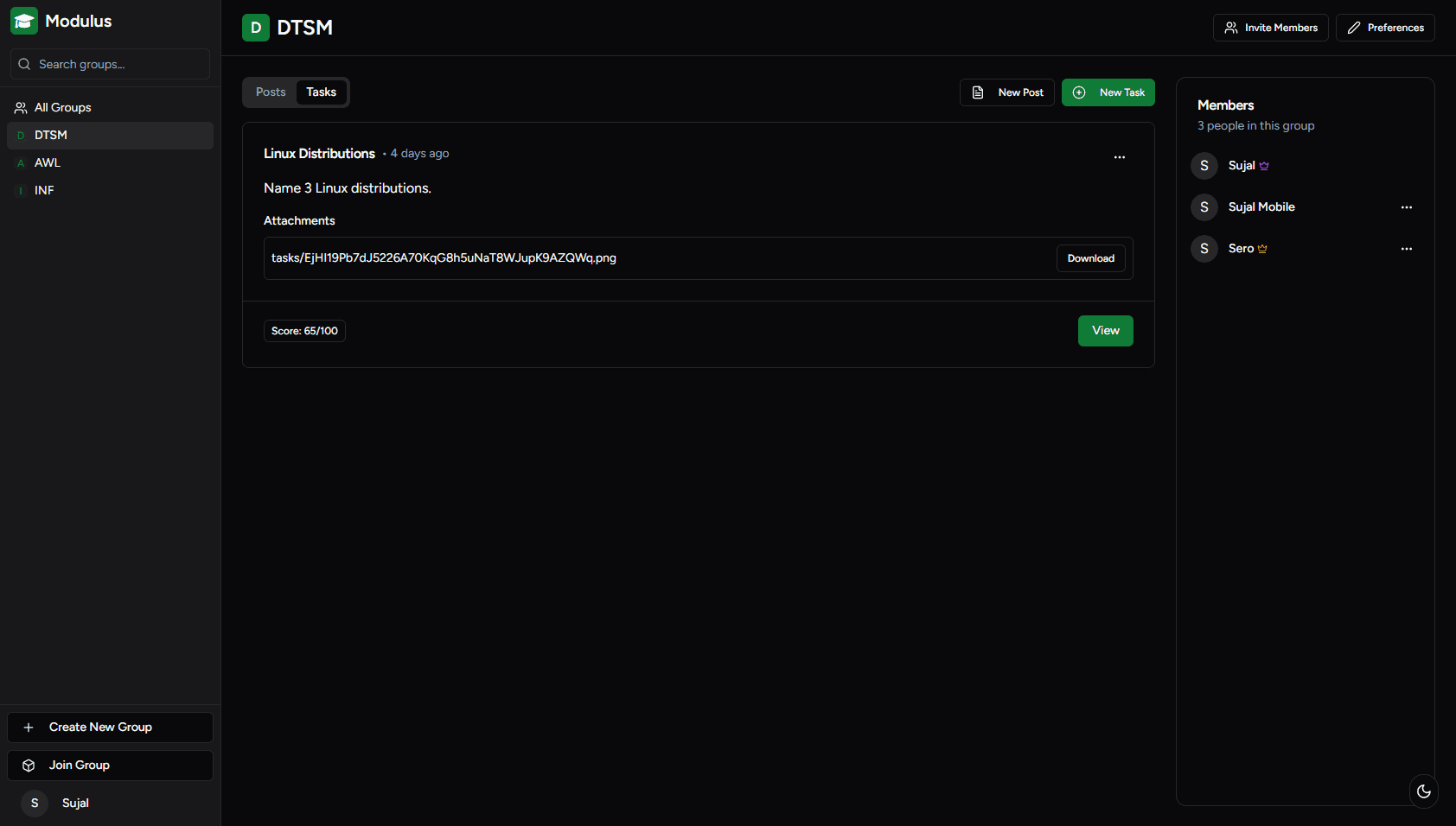 Modulus task overview inside a group